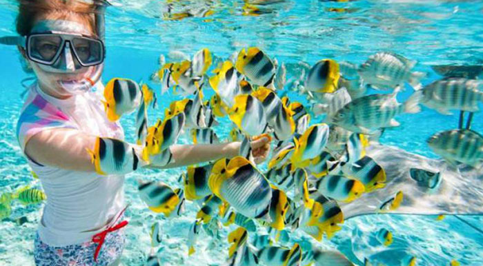 Snorkelling zanzibar